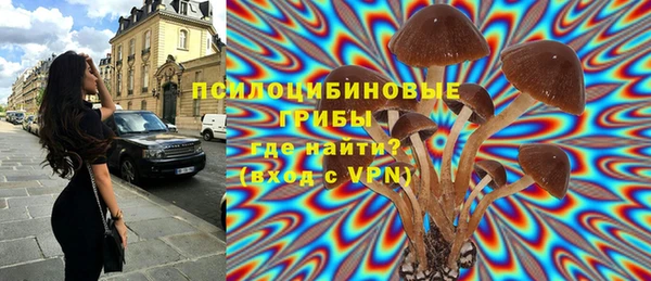 mdma Горняк