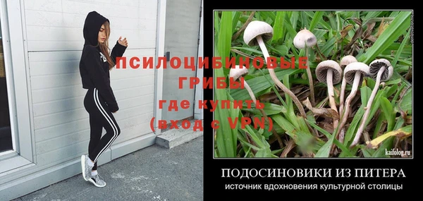 mdma Горняк