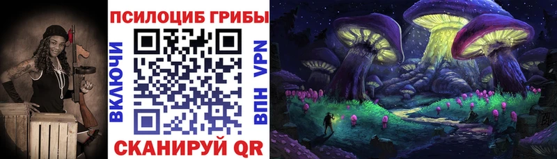 Купить  Кохма  Галлюциногенные грибы Cubensis 
